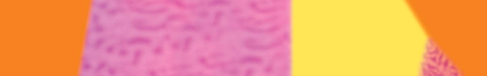 Banner Blog 1